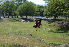 IMG_2274
